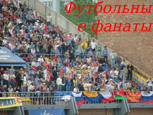 Футбольные фанаты 