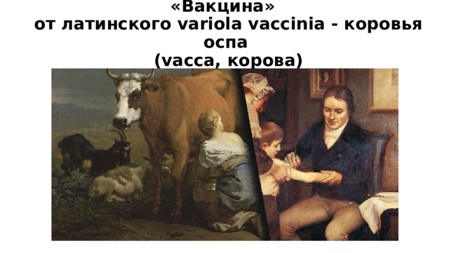 «Вакцина»    от латинского variola vaccinia - коровья оспа  (vacca, корова) 