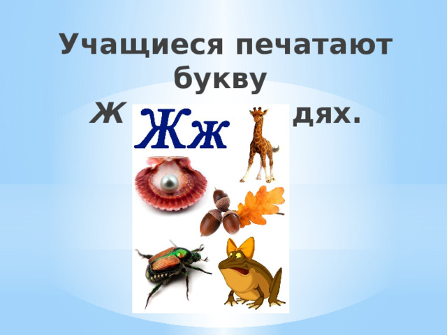 Учащиеся печатают букву  Ж ж в тетрадях.   