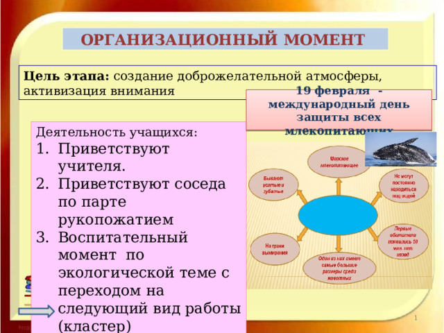 ОРГАНИЗАЦИОННЫЙ МОМЕНТ Цель этапа: создание доброжелательной атмосферы, активизация внимания 19 февраля - международный день защиты всех млекопитающих Деятельность учащихся: Приветствуют учителя. Приветствуют соседа по парте рукопожатием Воспитательный момент по экологической теме с переходом на следующий вид работы (кластер) 