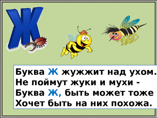 Как жужжит муха. Буква ж жужжит над ухом. Буква ж Жук. Обучение грамоте буква ж. Жужжит жужелица жужжит кружится.