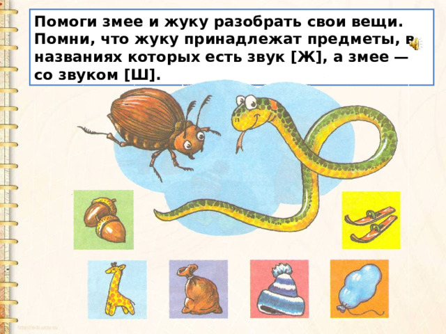 Помоги змее и жуку разобрать свои вещи. Помни, что жуку принадлежат предметы, в названиях которых есть звук [Ж], а змее — со звуком [Ш]. 