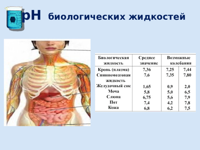 рН биологических жидкостей 