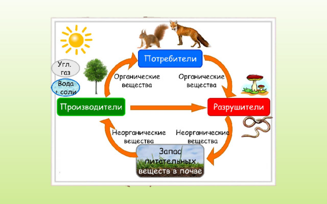 3 класс окружающий мир великий круговорот жизни