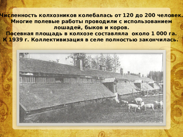 Численность колхозников колебалась от 120 до 200 человек. Многие полевые работы проводили с использованием  лошадей, быков и коров. Посевная площадь в колхозе составляла около 1 000 га. К 1939 г. Коллективизация в селе полностью закончилась.  