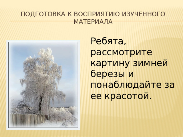 Подготовка к восприятию изученного материала Ребята, рассмотрите картину зимней березы и понаблюдайте за ее красотой. 