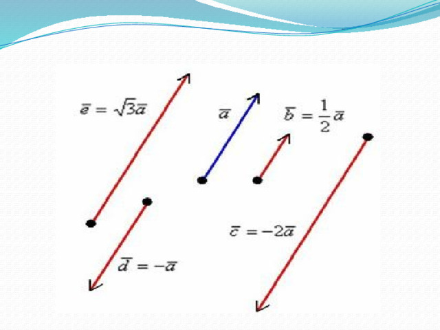 Любые два вектора не всегда сонаправлены. Противоположные векторы рисунок. Нулевой вектор рисунок. Равные векторы рисунок. Любые два равных вектора сонаправлены.