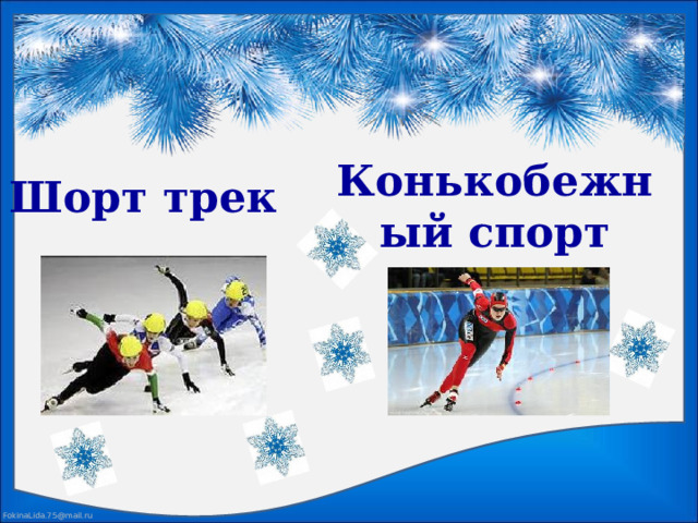 Конькобежный спорт Шорт трек 