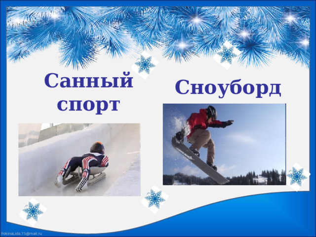 Сноуборд Санный спорт 