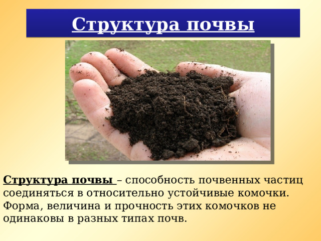 Структура почвы Структура почвы – способность почвенных частиц соединяться в относительно устойчивые комочки. Форма, величина и прочность этих комочков не одинаковы в разных типах почв. 