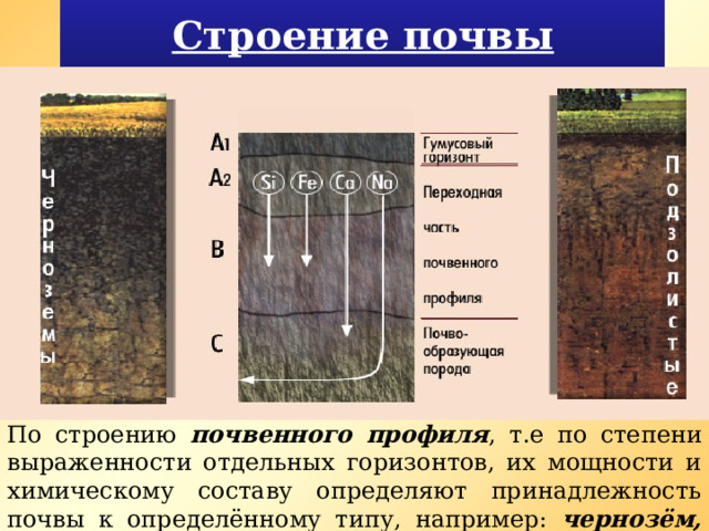 Строение почвы По строению почвенного профиля , т.е по степени выраженности отдельных горизонтов, их мощности и химическому составу определяют принадлежность почвы к определённому типу, например: чернозём, подзолистые и др. 