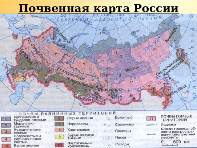 Почвенная карта России 