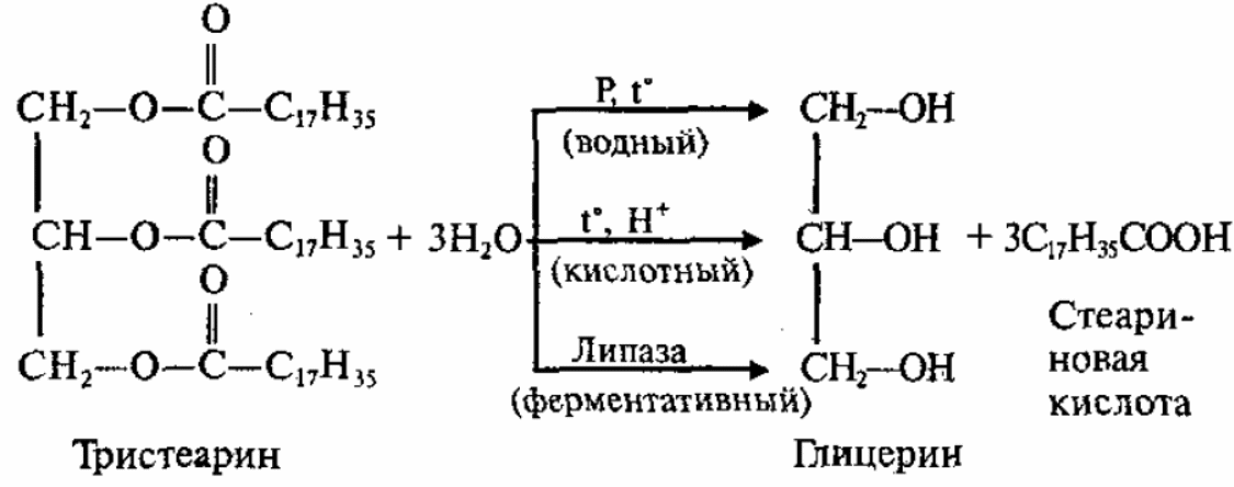 Ферментативный гидролиз жиров. Реакция гидролиза тристеарина. Гидролиза тристеарина жира. Гидролиз жира тристеарина в кислой среде. Гидролиза тристеарина в кислой среде.