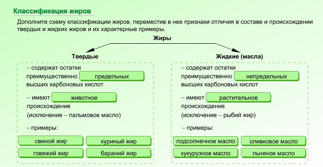 Пищевые жиры схема