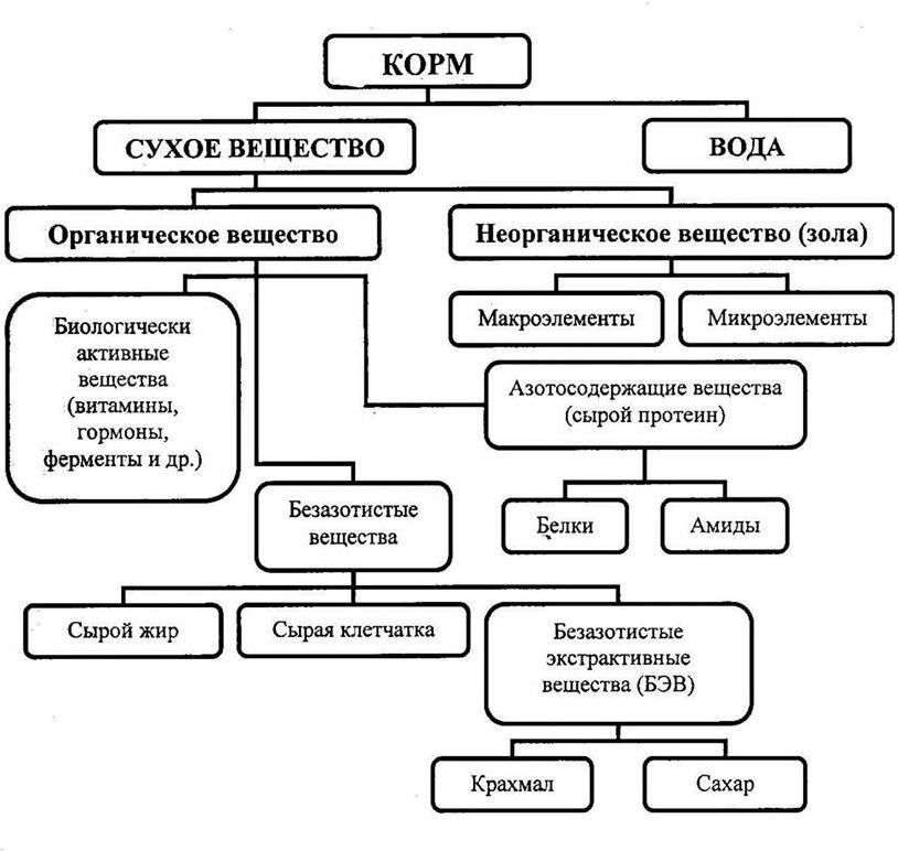 Схема хим состава кормов