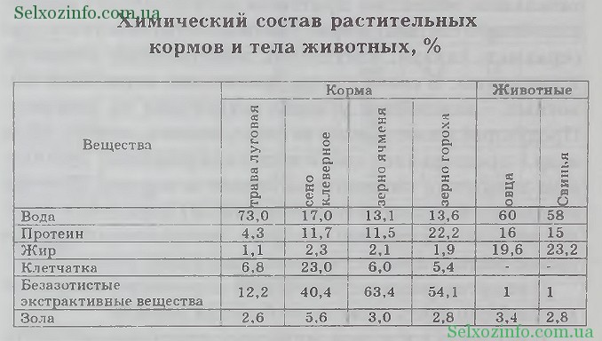 Схема зоотехнического анализа кормов