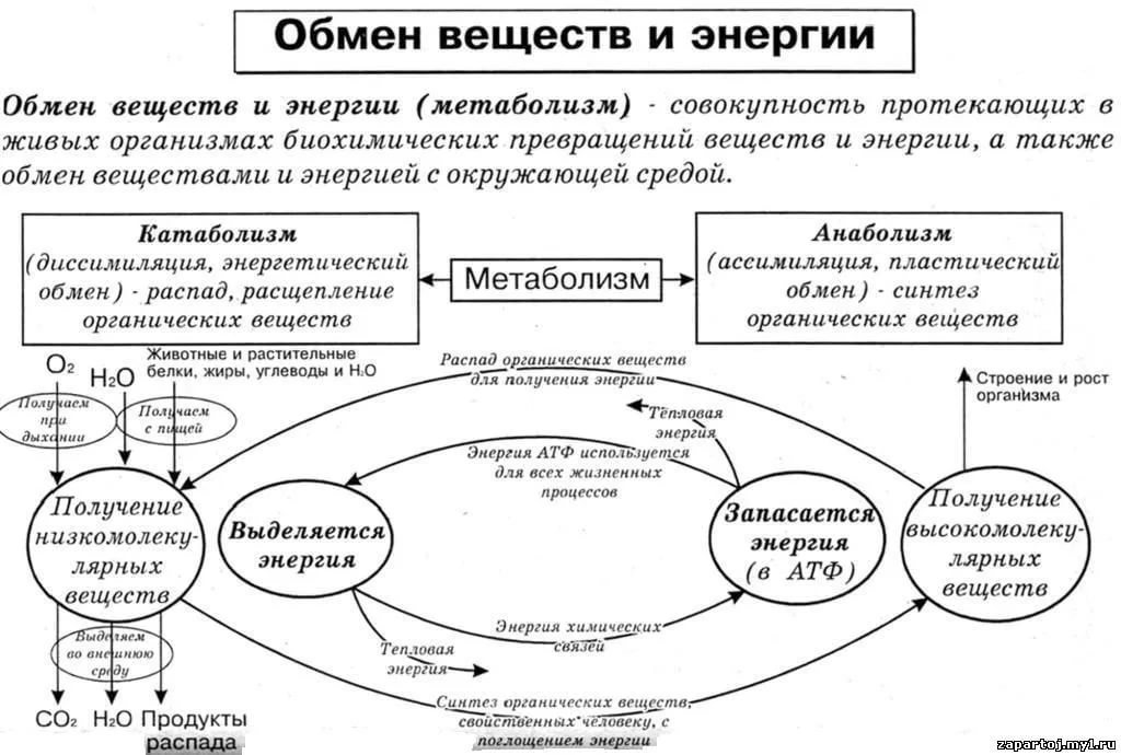 Теория шести энергий в рисунках и таблицах