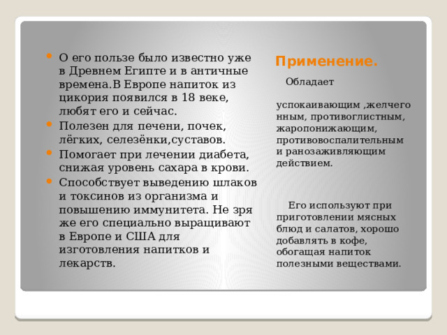 Применение. О его пользе было известно уже в Древнем Египте и в античные времена.В Европе напиток из цикория появился в 18 веке, любят его и сейчас. Полезен для печени, почек, лёгких, селезёнки,суставов. Помогает при лечении диабета, снижая уровень сахара в крови. Способствует выведению шлаков и токсинов из организма и повышению иммунитета. Не зря же его специально выращивают в Европе и США для изготовления напитков и лекарств.  Обладает  успокаивающим ,желчегонным, противоглистным, жаропонижающим, противовоспалительным и ранозаживляющим действием.  Его используют при приготовлении мясных блюд и салатов, хорошо добавлять в кофе, обогащая напиток полезными веществами . 