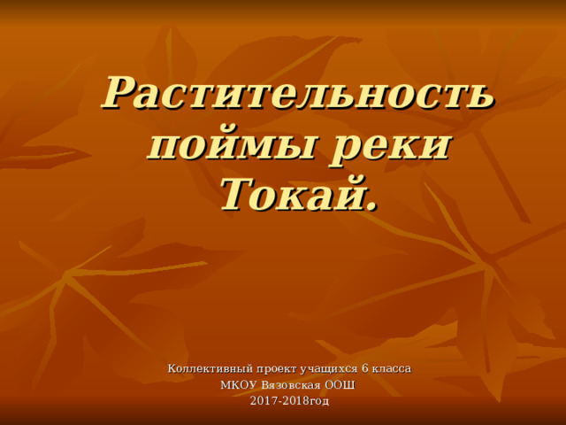 Растительность поймы реки Токай. Коллективный проект учащихся 6 класса МКОУ Вязовская ООШ 2017-2018год 