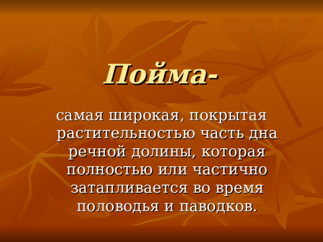 Пойма- самая широкая, покрытая растительностью часть дна речной долины, которая полностью или частично затапливается во время половодья и паводков. 
