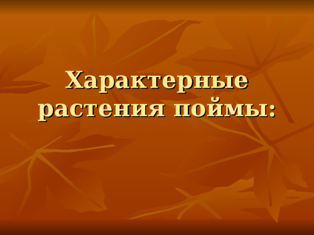 Характерные растения поймы: 