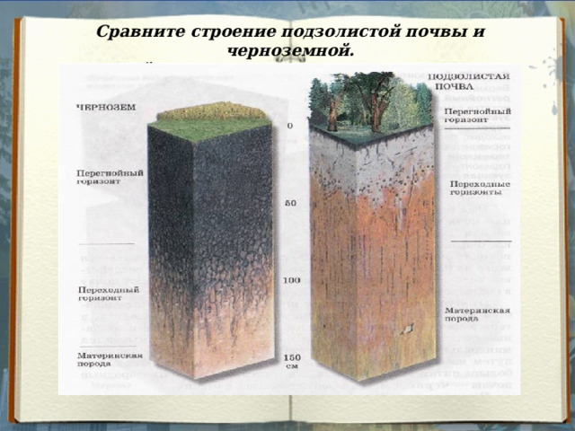 Сравните строение подзолистой почвы и черноземной. Найдите черты сходства и различия. 