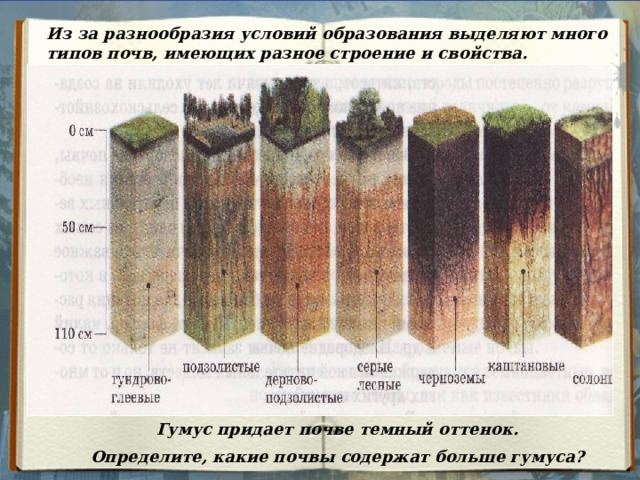 Из за разнообразия условий образования выделяют много типов почв, имеющих разное строение и свойства. Гумус придает почве темный оттенок.  Определите, какие почвы содержат больше гумуса? 