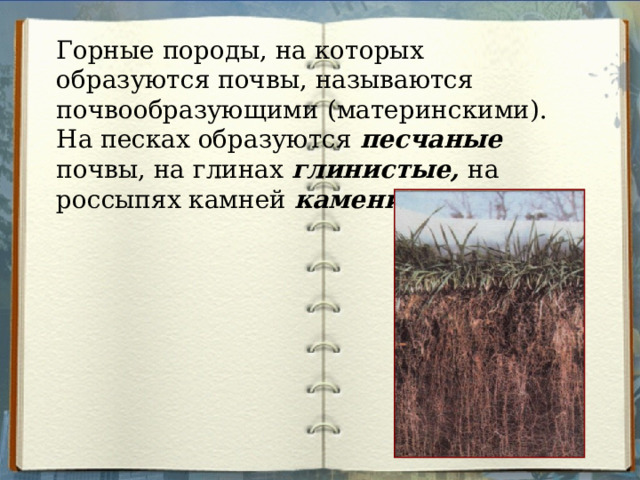 Горные породы, на которых образуются почвы, называются почвообразующими (материнскими). На песках образуются песчаные почвы, на глинах глинистые, на россыпях камней каменистые. 