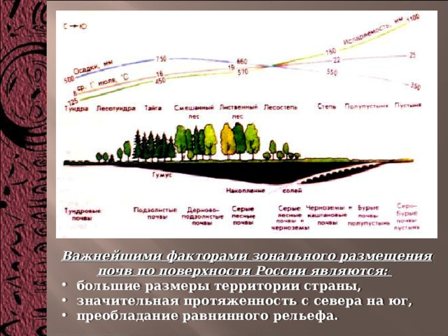 Важнейшими факторами зонального размещения почв по поверхности России являются:   большие размеры территории страны,  значительная протяженность с севера на юг,  преобладание равнинного рельефа. 