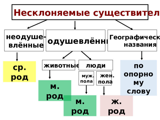 Несклоняемые существительные  одушевлённые неодуше- Географические влённые названия  животные  люди по опорному слову ср. род жен. муж. пола пола м. род м. род ж. род 