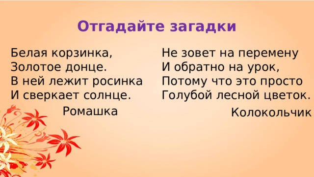Отгадайте загадки Белая корзинка, Не зовет на перемену Золотое донце. И обратно на урок, В ней лежит росинка Потому что это просто И сверкает солнце. Голубой лесной цветок. Ромашка Колокольчик 