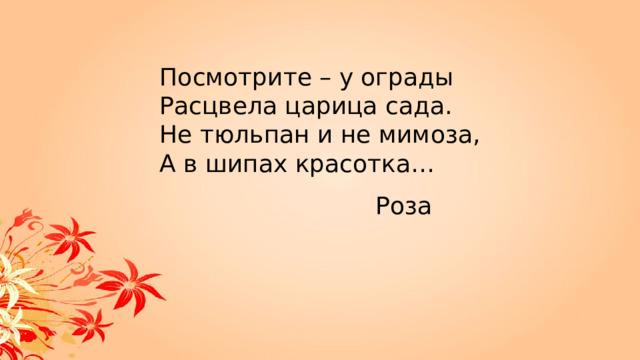 Посмотрите – у ограды Расцвела царица сада. Не тюльпан и не мимоза, А в шипах красотка… Роза 