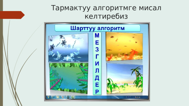 Тармактуу алгоритмге мисал келтиребиз 