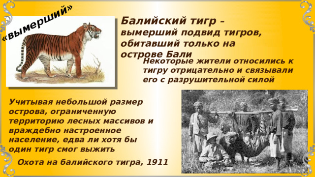 «вымерший» Балийский тигр – вымерший подвид тигров, обитавший только на острове Бали Некоторые жители относились к тигру отрицательно и связывали его с разрушительной силой Учитывая небольшой размер острова, ограниченную территорию лесных массивов и враждебно настроенное население, едва ли хотя бы один тигр смог выжить Охота на балийского тигра, 1911 