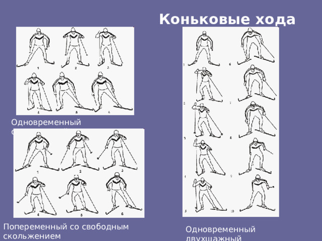 Коньковые хода Одновременный одношажный Попеременный со свободным скольжением Одновременный двухшажный 