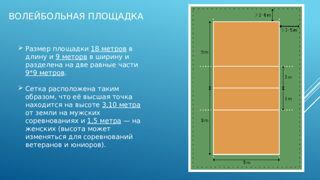 Укажите высоту волейбольной сетки