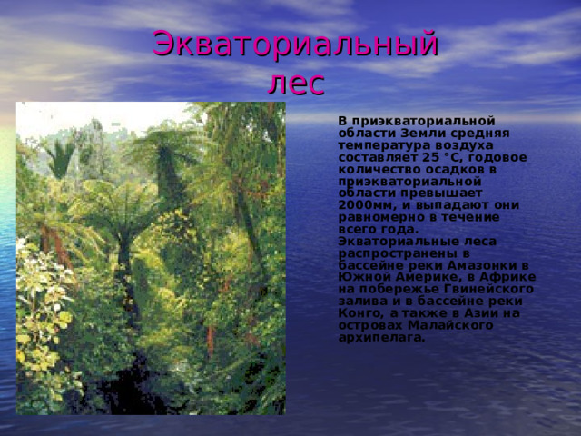 Экваториальный  лес  В приэкваториальной области  Земли средняя температура воздуха составляет 25 °С, годовое количество осадков в приэкваториальной области превышает 2000мм, и выпадают они равномерно в течение всего года. Экваториальные леса распространены в бассейне реки Амазонки в Южной Америке, в Африке на побережье Гвинейского залива и в бассейне реки Конго, а также в Азии на островах Малайского архипелага.    