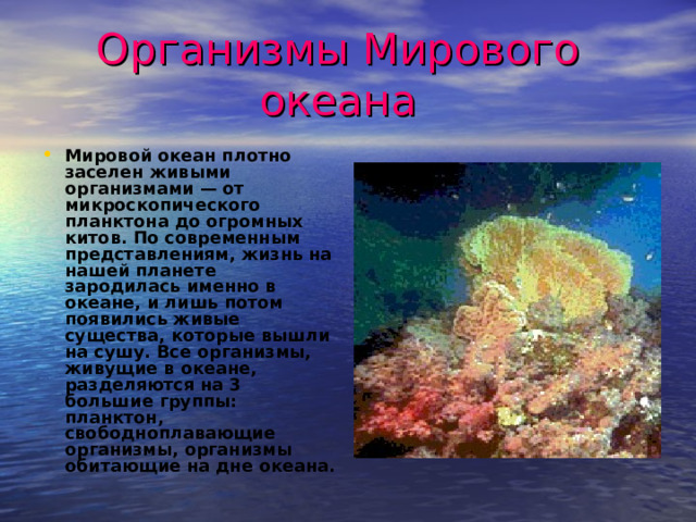 Организмы Мирового океана Мировой океан плотно заселен живыми организмами — от микроскопического планктона до огромных китов. По современным представлениям, жизнь на нашей планете зародилась именно в океане, и лишь потом появились живые существа, которые вышли на сушу. Все организмы, живущие в океане, разделяются на 3 большие группы: планктон, свободноплавающие организмы, организмы обитающие на дне океана.  