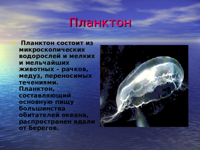 Планктон  Планктон состоит из микроскопических водорослей и мелких и мельчайших животных – рачков, медуз, переносимых течениями. Планктон, составляющий основную пищу большинства обитателей океана, распространен вдали от берегов. 