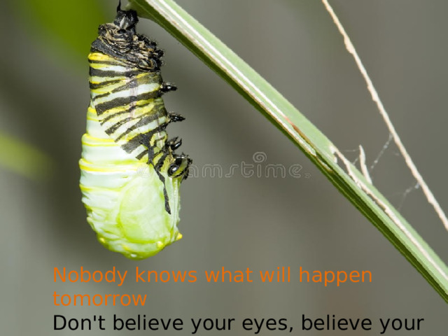 Nobody knows what will happen tomorrow Don't believe your eyes, believe your heart 
