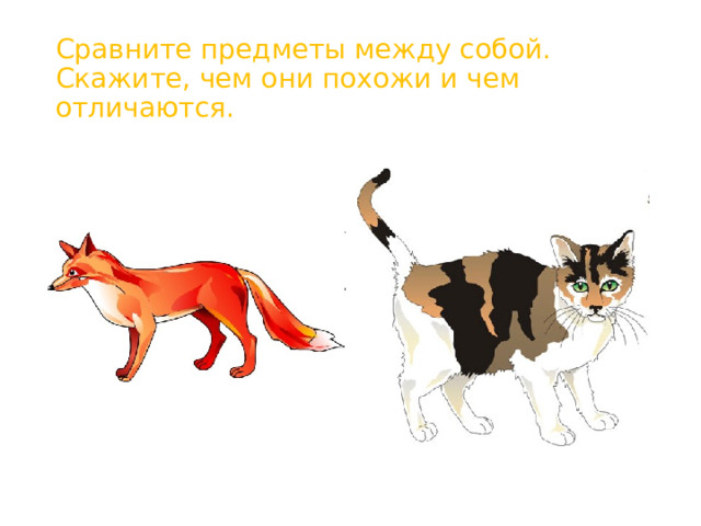 Сравните предметы между собой. Скажите, чем они похожи и чем отличаются. 