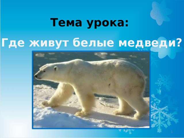 Тема урока: Где живут белые медведи?  