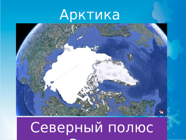 Арктика Северный полюс Земли  
