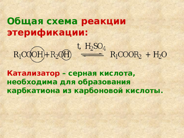 Продуктами реакции этерификации являются. Этерификация катализатор. Реакция этерификации катализатор. Реакция этерификации каталитическая или нет. Реакции этерификации нужен катализатор.