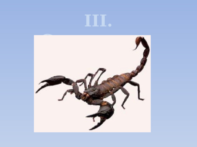 III. Скорпионы 