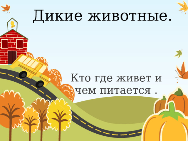 Дикие животные. Кто где живет и чем питается . 