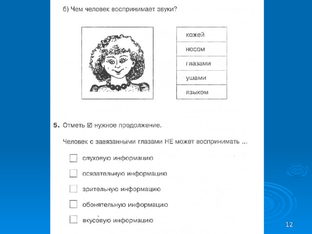 г. Кыштым МОУ СОШ №3 Яргутова Н.П.  