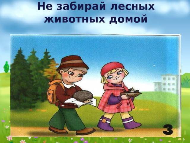 Не забирай лесных животных домой 