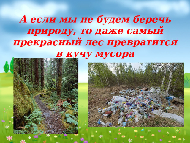 А если мы не будем беречь природу, то даже самый прекрасный лес превратится в кучу мусора 