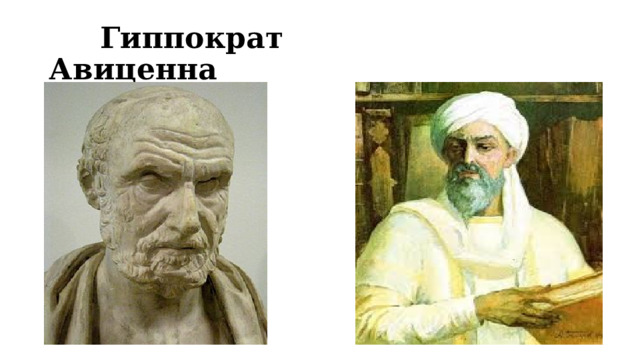  Гиппократ Авиценна 
